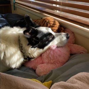 Meet your Posher, Lara